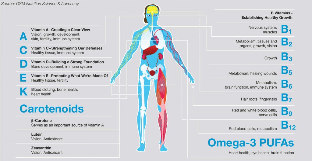 Nutrition - Dr.Amit Garg